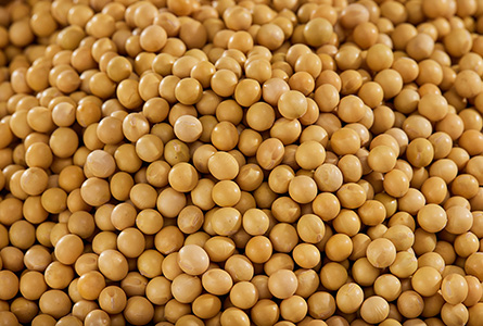 Soybean oligopeptide