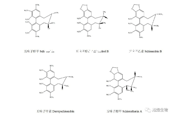 五味子化学成分