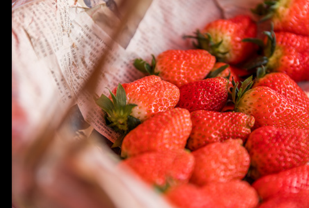 Strawberry Fruit Powder