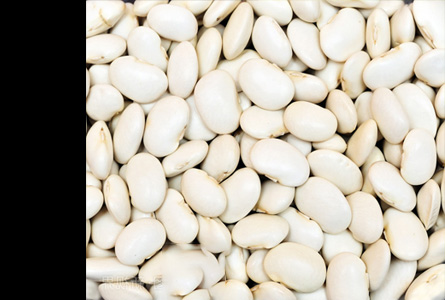 White Kidney Bean Extract