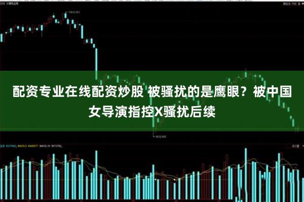 配资专业在线配资炒股 被骚扰的是鹰眼？被中国女导演指控X骚扰后续