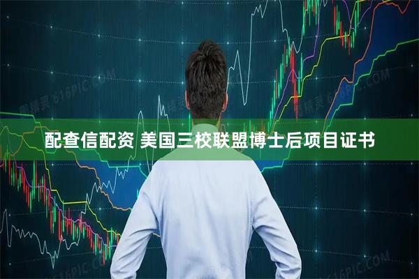 配查信配资 美国三校联盟博士后项目证书