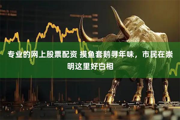 专业的网上股票配资 摸鱼套鹅寻年味，市民在崇明这里好白相